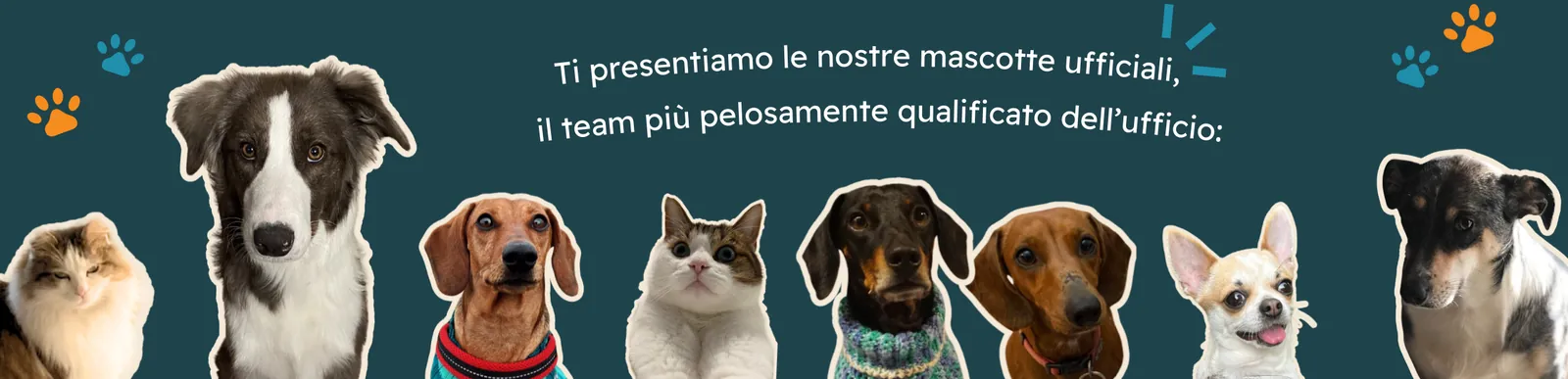 Le nostre mascotte
