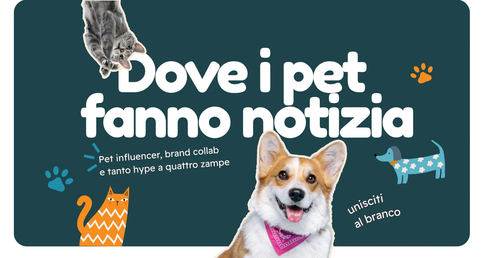 LaPETtegola – Dove i pet fanno notizia